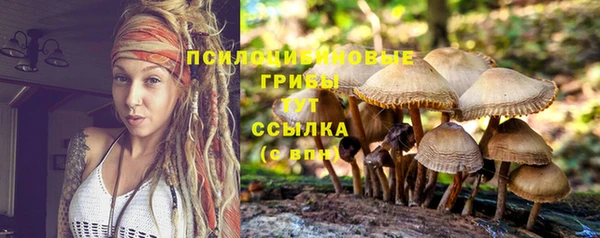 спайс Надым