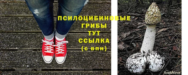 спайс Надым